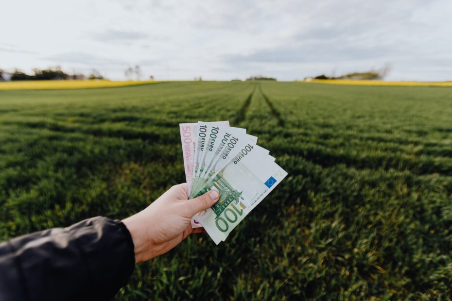 pieniądze biznes